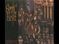 pochette album Ice castle