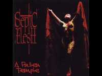 pochette album The crypt