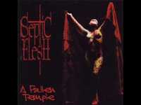 pochette album The eldest cosmonaut