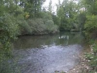 pochette album Maravilla