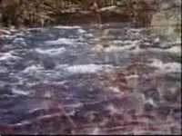 pochette album A little bit (at the beginning)