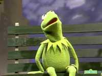 pochette album A song from kermit