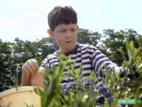 pochette album Blueberry mouth