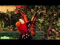 pochette album Butterfly