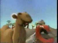 pochette album C drives me crazy