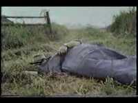 pochette album Everybody sleeps