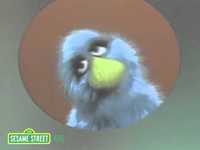 pochette album Frazzle