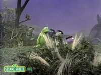 pochette album Frogs in the glen