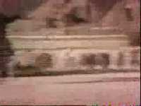 pochette album I'm a hard workin' dog