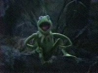 pochette album In the quiet of the evening