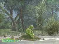 pochette album On my pond