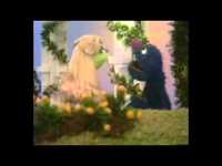 pochette album Still we like each other