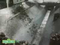 pochette album Sugar beet