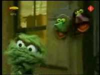 pochette album Swamp mushy muddy