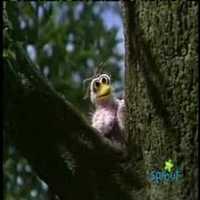 pochette album That's how we got here