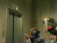 pochette album The elephant elevator operator