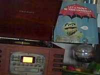 pochette album The garden