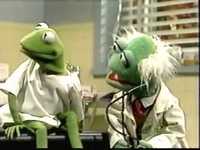 pochette album The heart of a frog