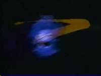 pochette album The zizzy zoomers