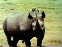 pochette album There's a bird on me