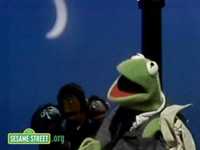 pochette album This frog