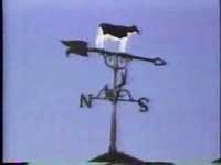 pochette album Who am i?