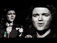 pochette album Amor amar