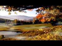 pochette album Llueve sobre mojado