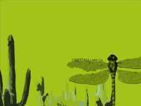 pochette album Disciple's anthem