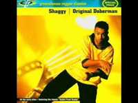 pochette album Lately