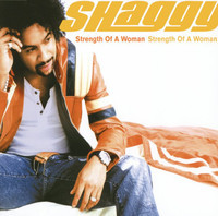 pochette album Strenth of a woman
