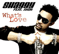 pochette album What's love