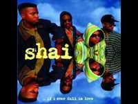 pochette album If i ever fall in love remix