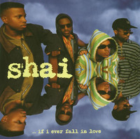 pochette album If i ever fall in love