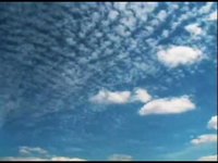 pochette album You made the blue