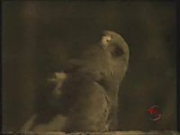 pochette album Esta noche voy contigo