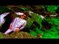 pochette album Lsi (love sex intelligence)