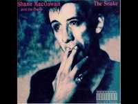 pochette album The snake with eyes of garnet