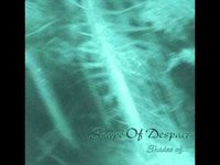 pochette album ...in the mist