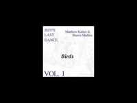 pochette album Birds