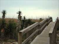 pochette album Changes