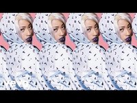 pochette album Biche