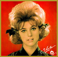 pochette album Ne raccroche pas