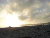 pochette album You 're beautiful