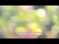 pochette album Best place