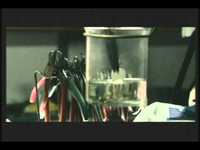 pochette album Young gunz