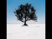 pochette album Disko