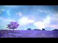 pochette album Sky fell over me