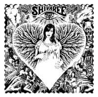 pochette album Shame on you