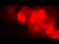 pochette album Don't say no